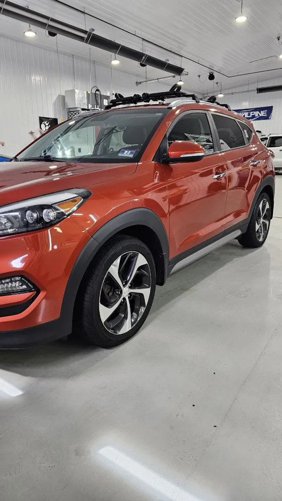 paint protection film