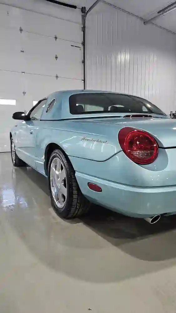 paint protection film